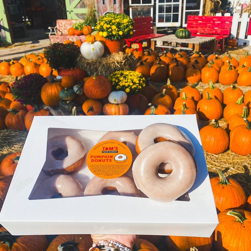 Savor Hot Cider and Pumpkin-Flavored Local Treats