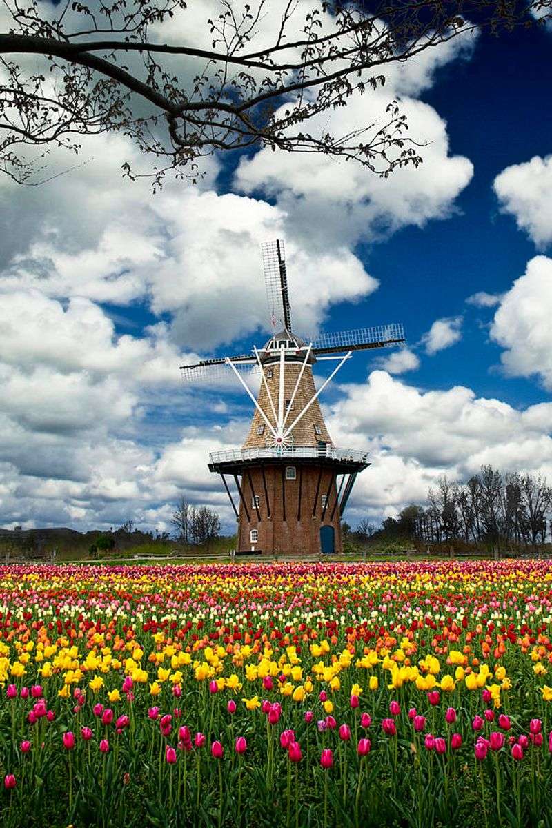 Windmill Island Gardens (Holland, Michigan) — Dutch Postcard Come to Life