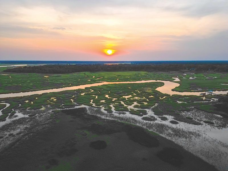 Marshlands That Define the Place