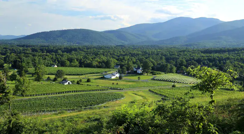 Wine Trails Woven Through History