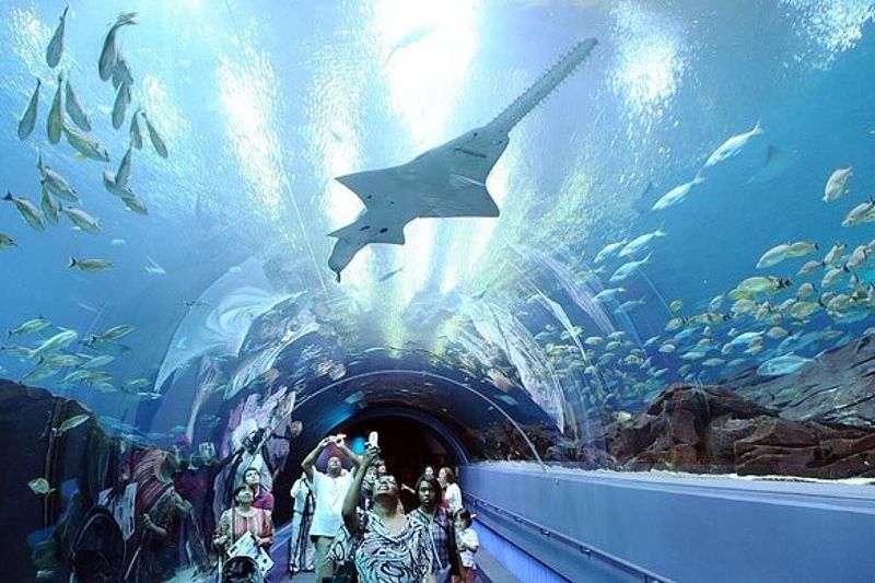 Georgia Aquarium — Atlanta, GA