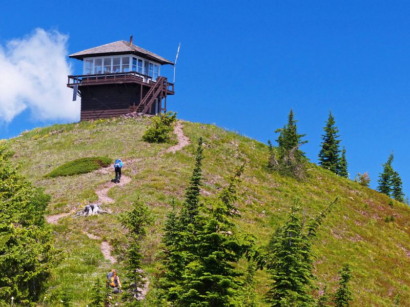 Camas Road / Huckleberry Lookout Trail, West Glacier