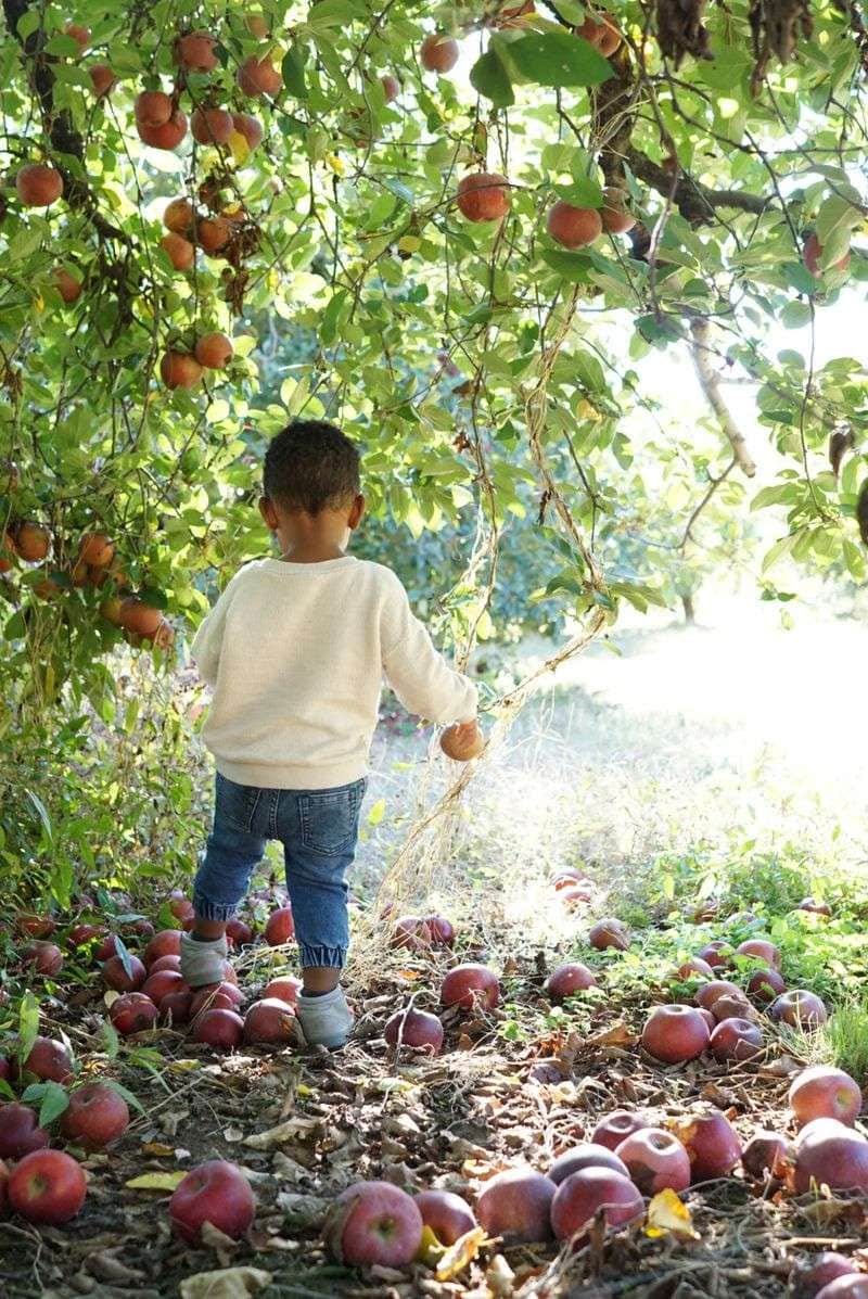 Farm-Fresh Discoveries