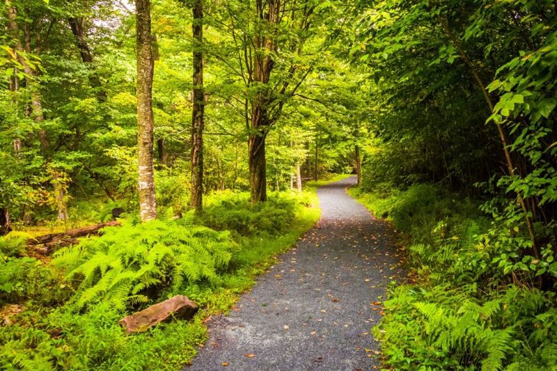 Limberlost Trail — Shenandoah National Park, VA