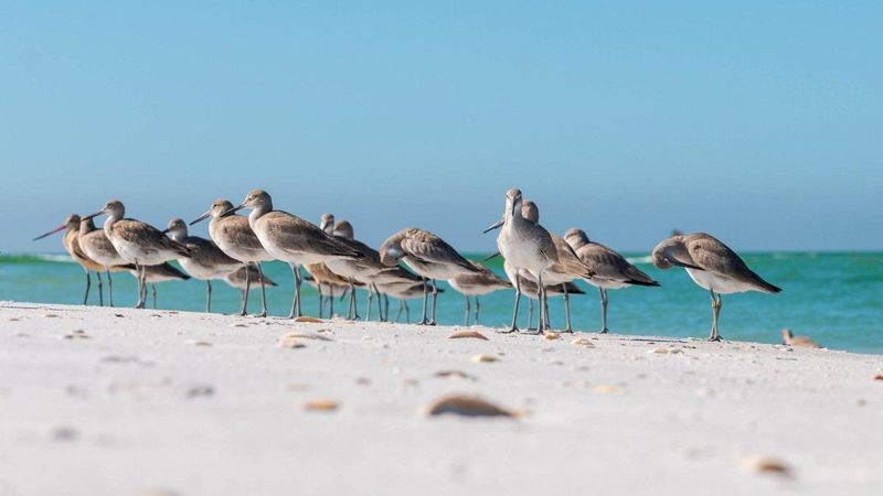 Shell Key Preserve, Florida