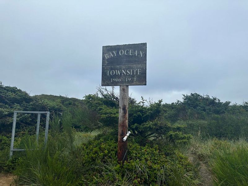 Hunt for Hidden Remnants of the Past