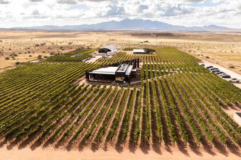 Leading Arizona's Wine Revolution