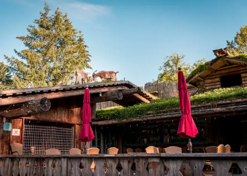 Explore the Wild West at Frontier Town