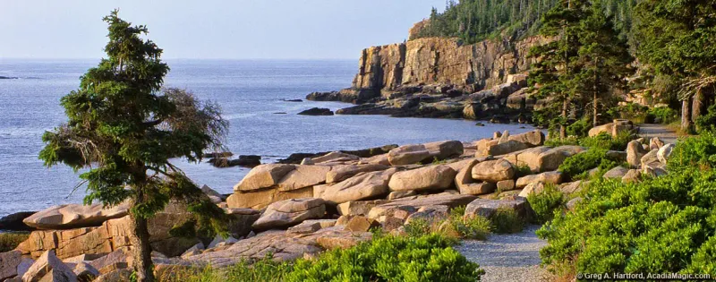 Ocean Path — Acadia National Park, ME