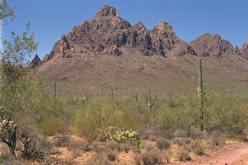 Ironwood Forest National Monument