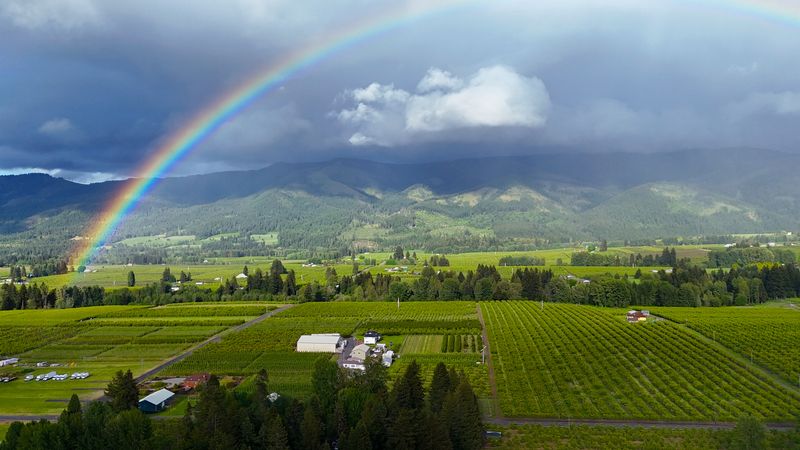 Kiyokawa Family Orchards — Parkdale, OR