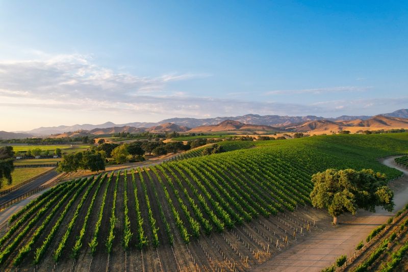 Wine Country Adventures