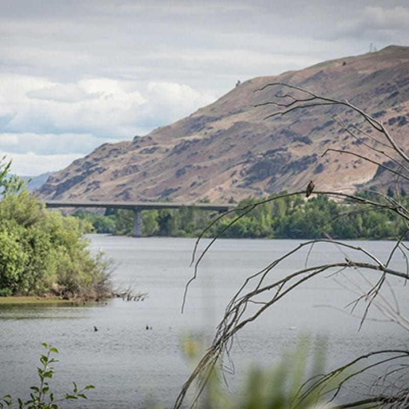 Relax by the Peaceful Wenatchee River