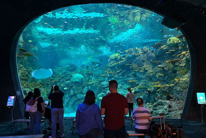 Seattle Aquarium — Seattle, WA