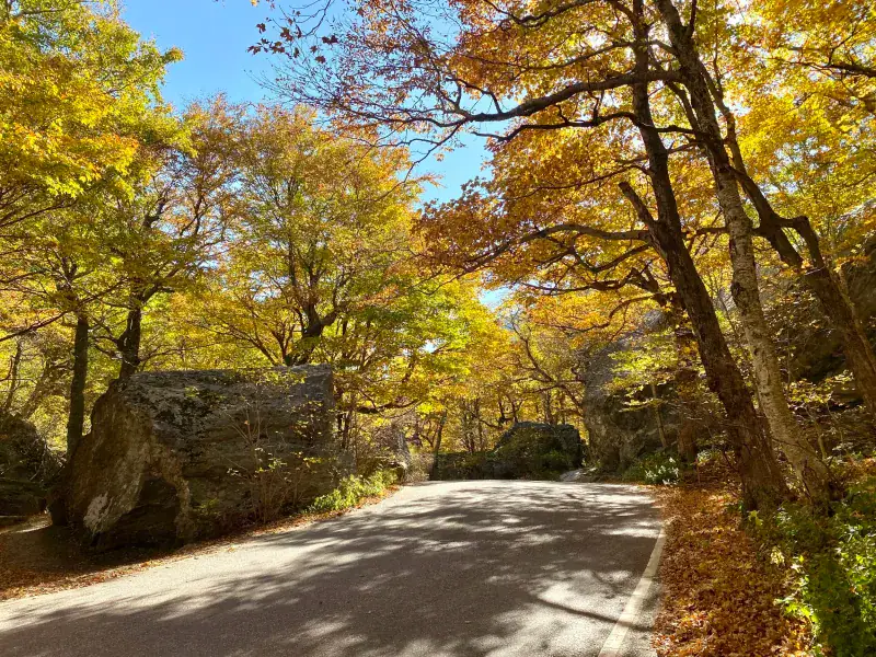 Stowe Recreation Path – Vermont