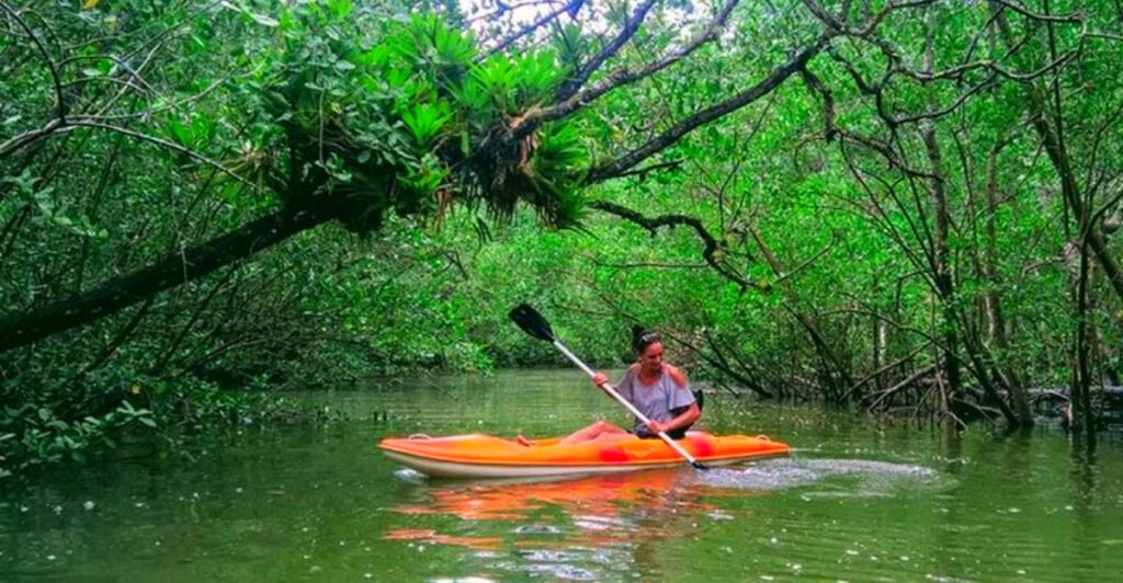 The Brazilian Coastal Town with Hidden Waterfalls and Jungle Hikes