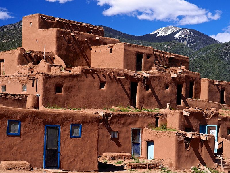 A Living Community Over 1,000 Years Old