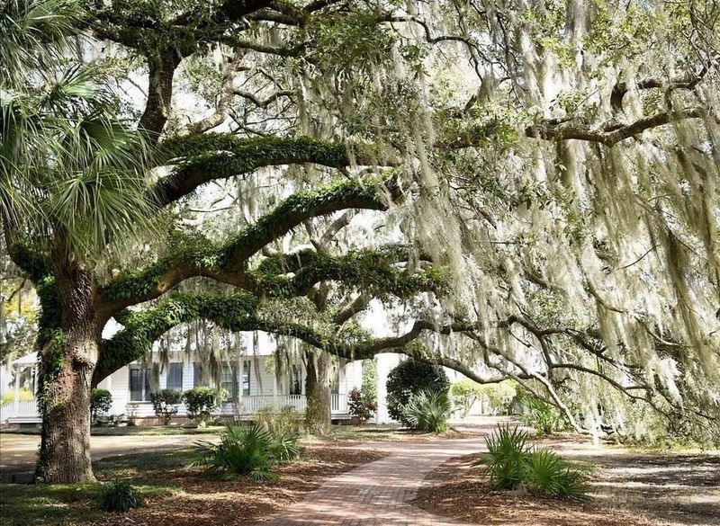 The Spanish Moss-Strewn Streets Are Pure Magic