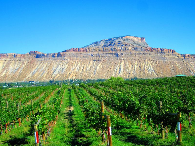 Home to Over 30 Award-Winning Wineries