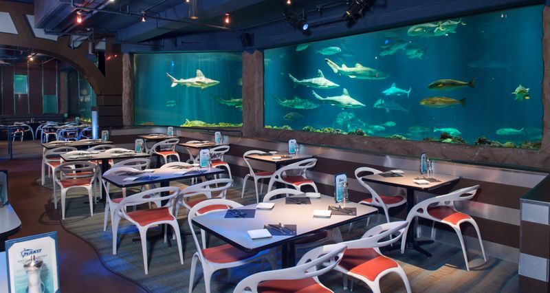 Sharks Underwater Grill (inside SeaWorld Orlando)
