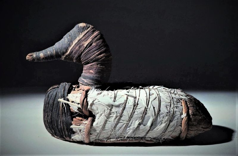 Archaeological Finds Stir Curiosity