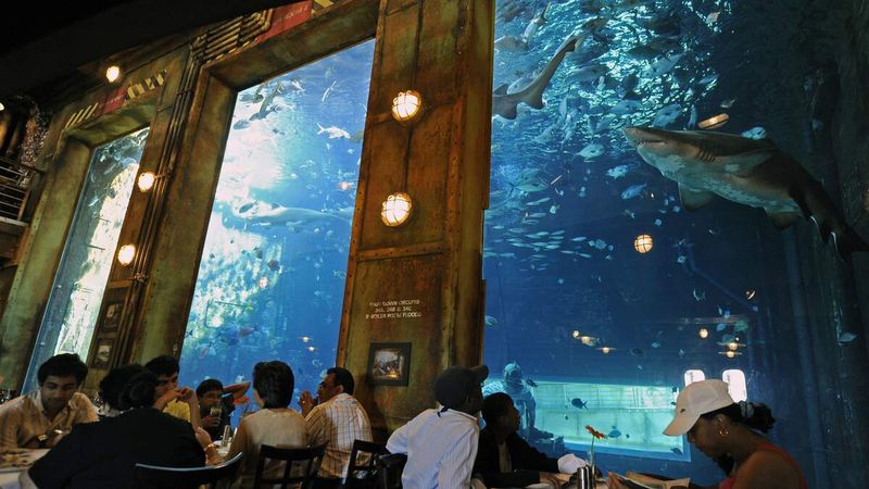 Kemah Aquarium Restaurant – Kemah