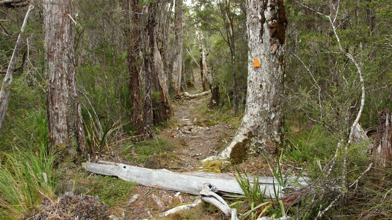 Abel Tasman Inland Track