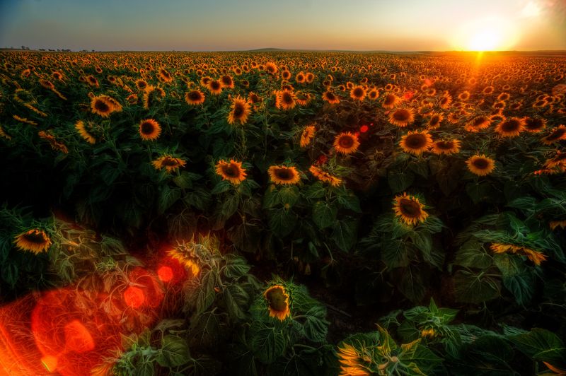 A Photographer's Dream Destination
