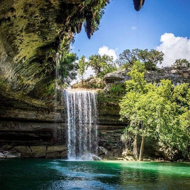 Nature's Hidden Cathedral