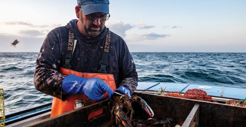 This Town Lands More Lobster Than Most of the U.S. Combined