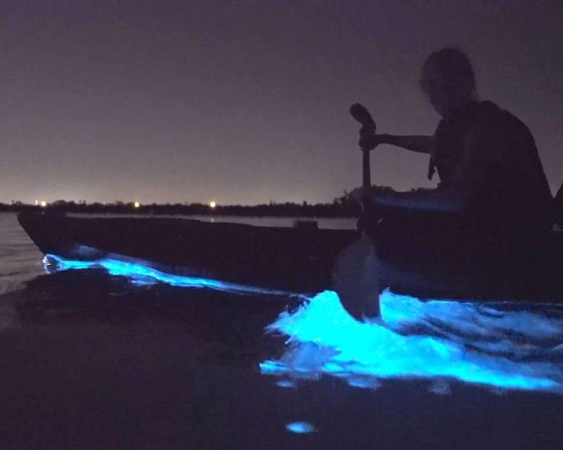 Magical Midnight Paddling Adventures