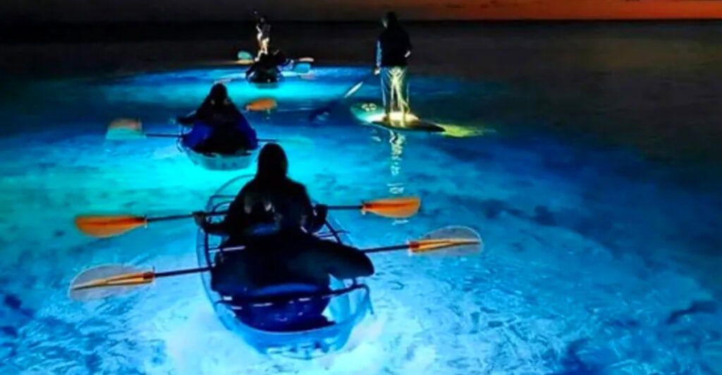 The Washington Town That Illuminates Rivers with Bioluminescence