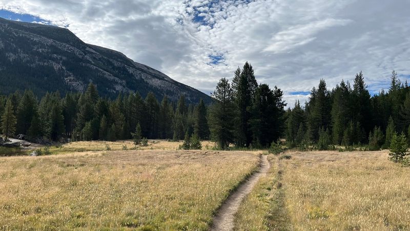 Lyell Canyon (Yosemite National Park)