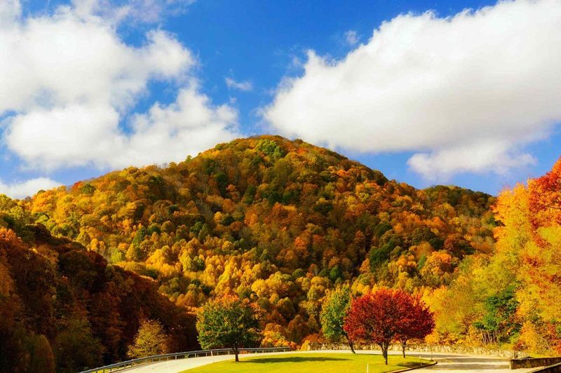 1. Fall Foliage Like You’ve Never Seen
