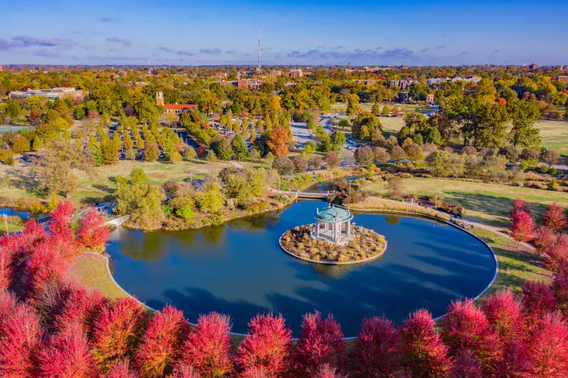 Forest Park Leaf-Peeping Plus Free Museums