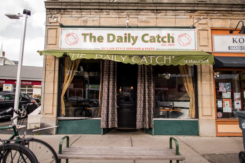 The Daily Catch
