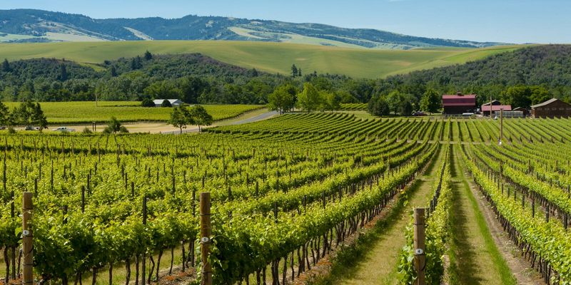 Serious Wine Scene, Approachable Feel