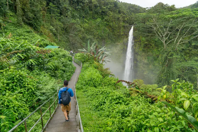 Akaka Falls – Hawaii Big Island