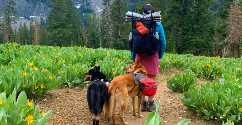 Top 10 Ultralight Backpacks for Senior Hikers