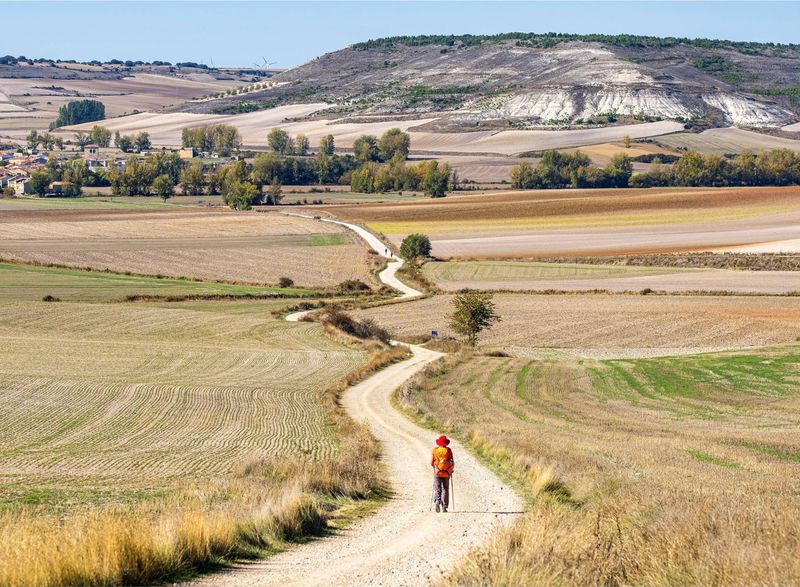 Camino de Santiago – Spain