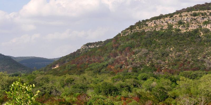 Edwards Plateau & Hill Country