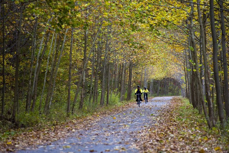 Pine Creek Rail Trail (PA)