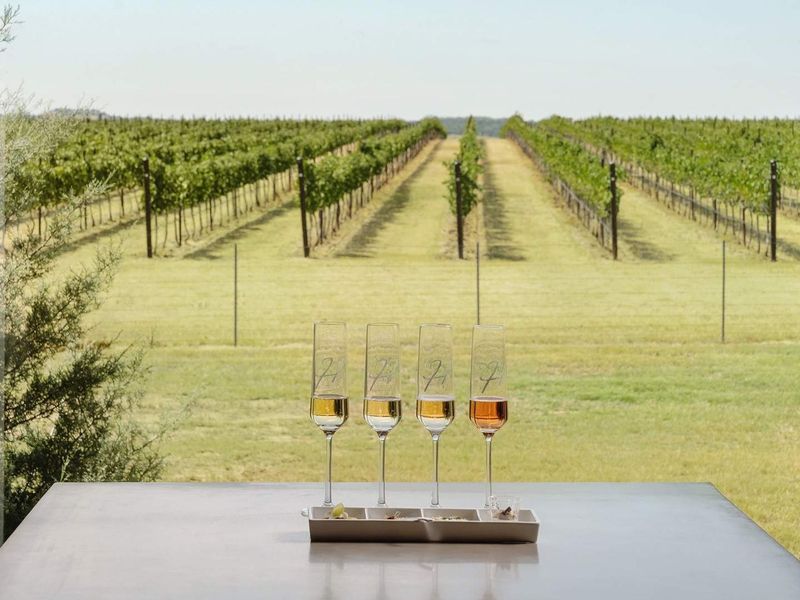 Hill Country Wineries Are Just Minutes Away