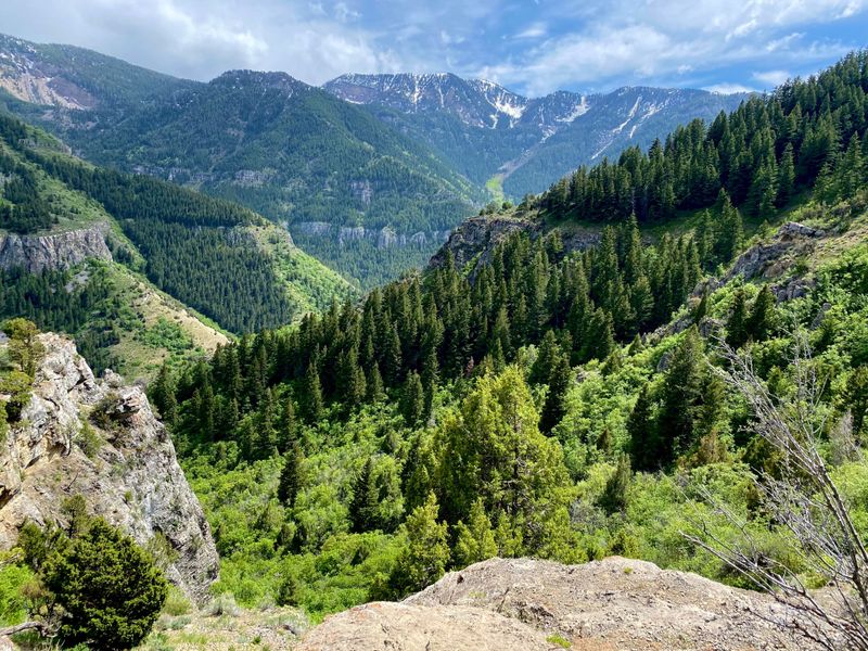 Logan Canyon