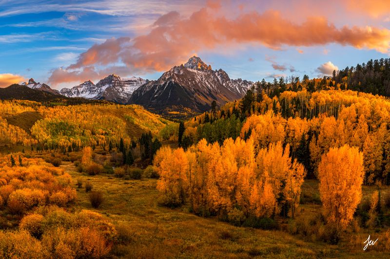 Wildflower summers; golden-aspen falls