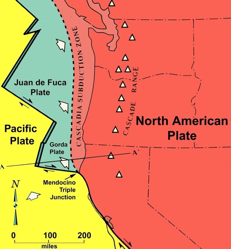 Mendocino Triple Junction: Where Three Plates Collide