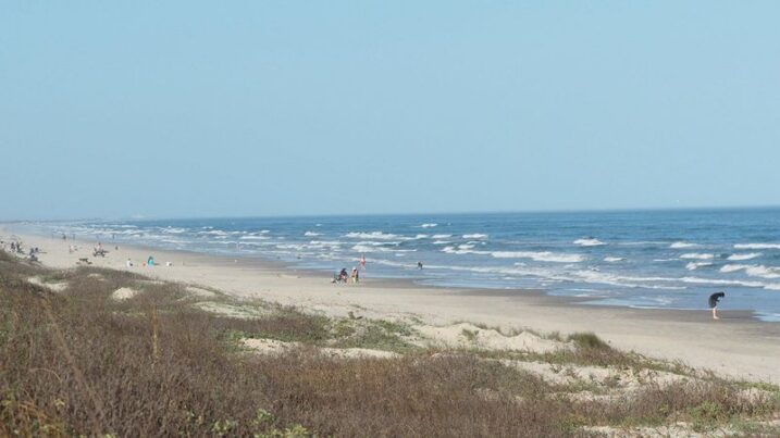 One of the Rarest Wildlife Events in America Happens on a Texas Beach