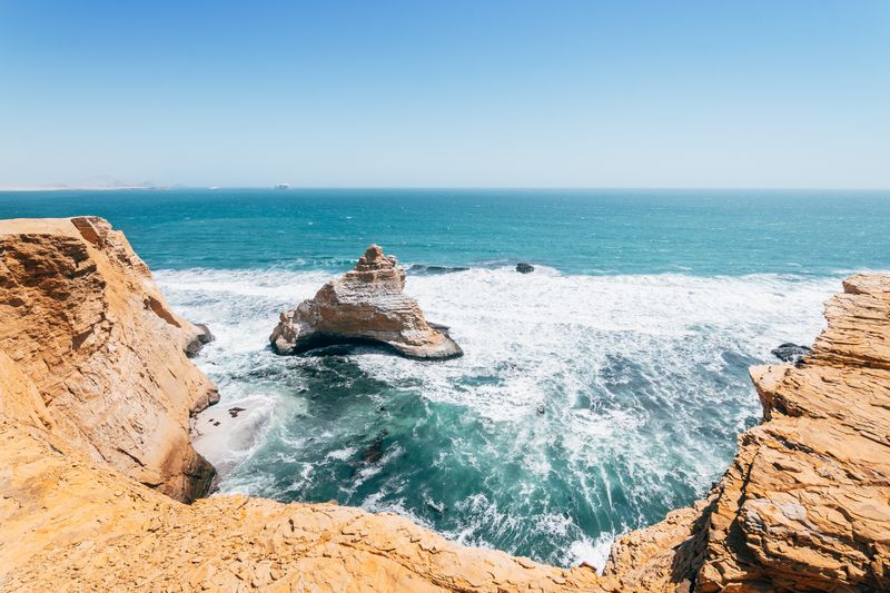 Paracas Peninsula Offers Prime Marine Wildlife Encounters