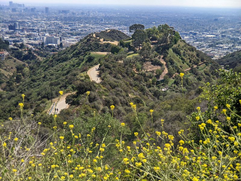 Runyon Canyon Park routes — Los Angeles, CA