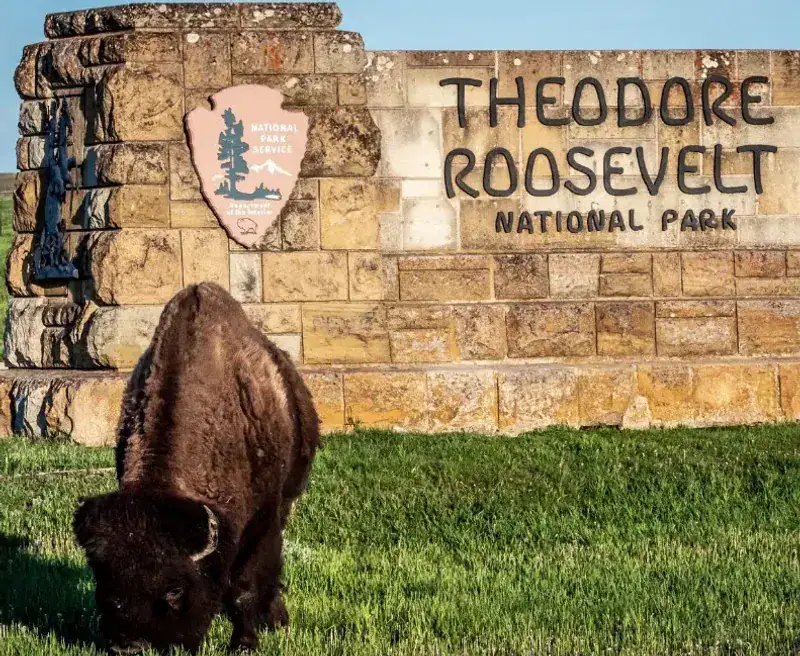 Theodore Roosevelt National Park, North Dakota